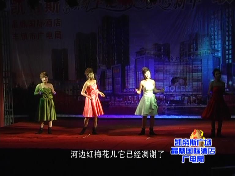 公司舉辦《繽紛圣誕歡樂新年》大型文藝晚會